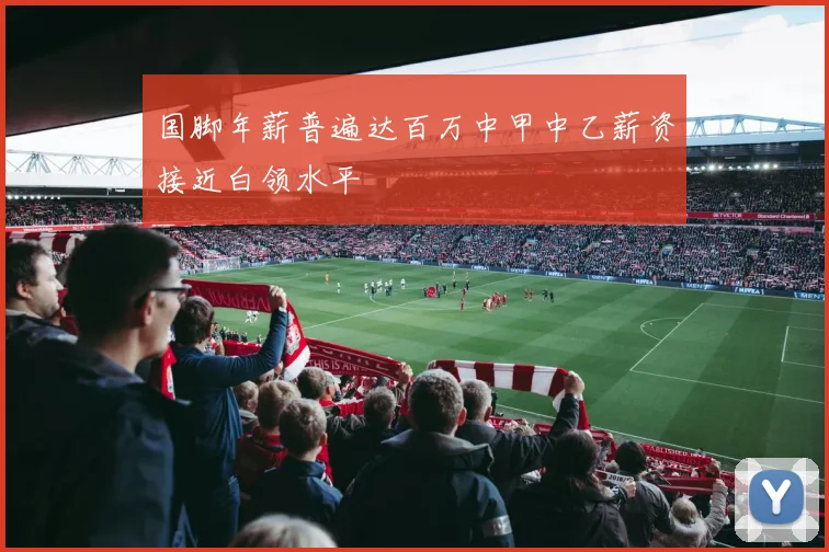 国脚年薪普遍达百万中甲中乙薪资接近白领水平