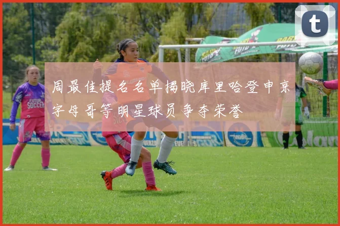 周最佳提名名单揭晓库里哈登申京字母哥等明星球员争夺荣誉