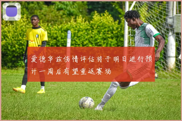 爱德华兹伤情评估将于明日进行预计一周后有望重返赛场