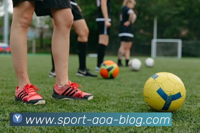 AOA体育APP 封面图